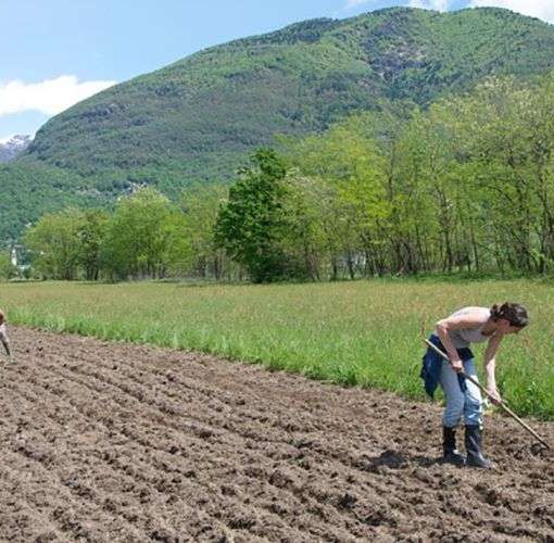 Bonus “donne in campo” 2020, i requisiti e le modalità di accesso