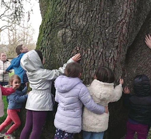 Dodici appuntamenti dedicati alla sostenibilità ambientale promossi dal Circolo Il Pioppo