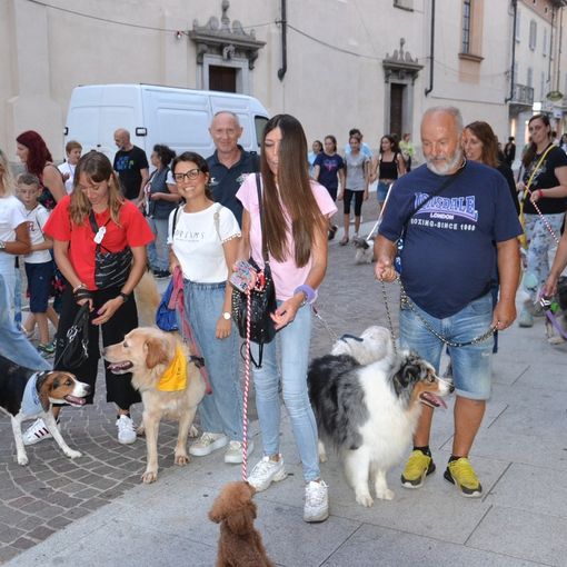 Borgomanero invaso dagli 'amici a 4 zampe': una serata di gioia e solidarietà