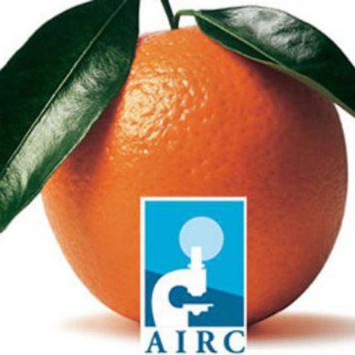 Successo per la Giornata delle Arance: 21.385 euro raccolti per la Ricerca sul cancro