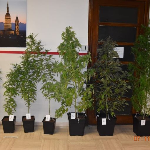 Droga: doppio arresto della Questura di Novara