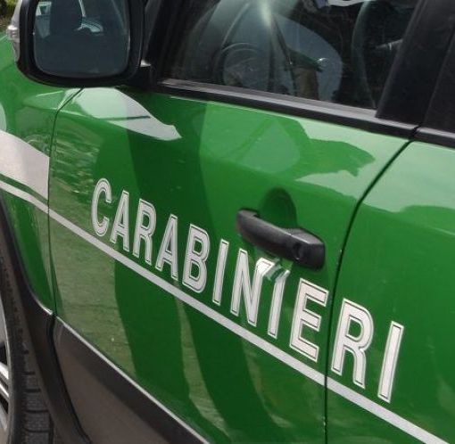 Sequestro e denuncia nel laboratorio metallurgico di Gozzano