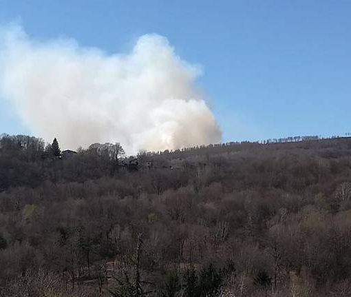 Vasto incendio ieri sul Mottarone