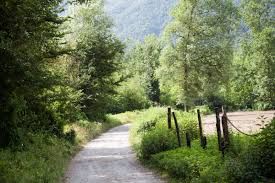 ‘Passeggiare giocare scoprire il bosco’ con il Cai di Gozzano