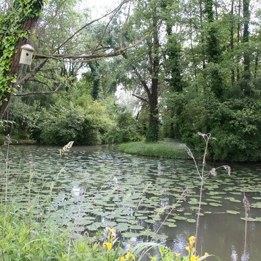 Fondazione comunità novarese contribuisce alla creazione di nuova area naturale a Borgolavezzaro