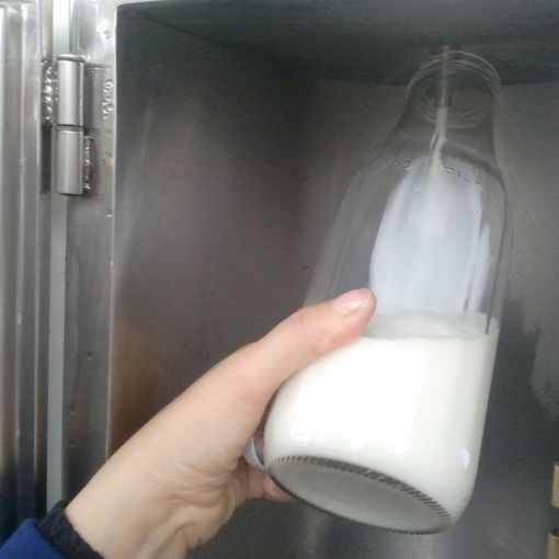 Il latte, un compagno di vita, spesso demonizzato, che è invece, tracciato, controllato e ancora poco conosciuto
