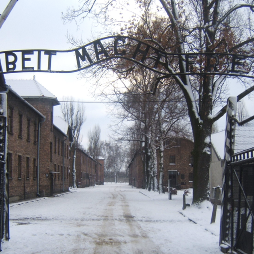 I no green pass a Novara sfilano come i prigionieri di Auschwitz