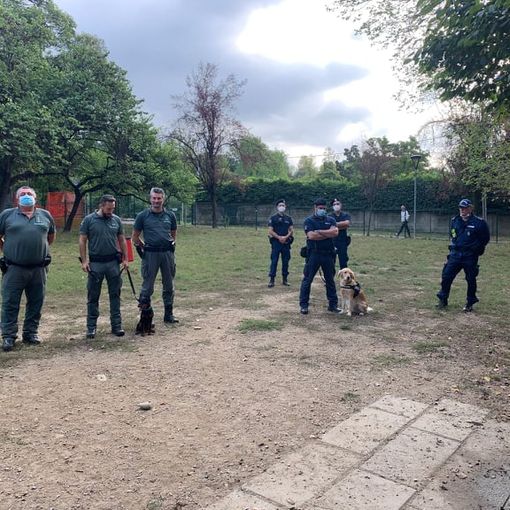 Il cane anti veleno ha perlustrato i parchi di Novara