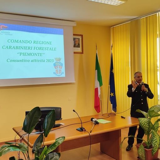 Carabinieri forestali, a Novara crescono i controlli sul traffico illecito di metalli