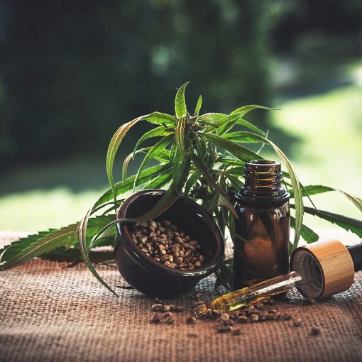 Cannabis light in Italia: il quadro normativo
