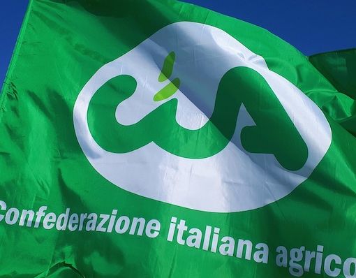 Agricoltori del territorio a Roma per la IX Conferenza Economica Cia