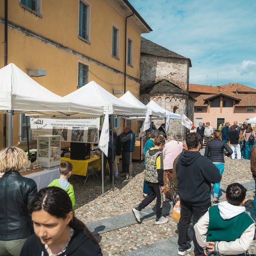 Il Mercato della Terra delle Colline Novaresi approda a Cureggio in occasione di &quot;Naturale!&quot;