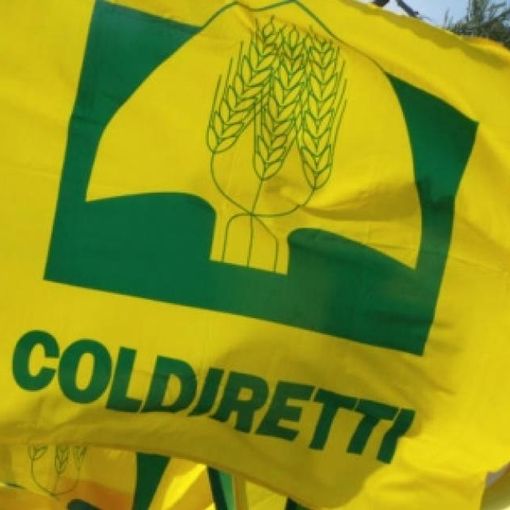 Coldiretti Novara-Vco sponsor ufficiale ai Mondiali di hockey su pista a Novara