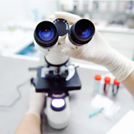 Coronavirus, 12 nuovi laboratori per i test Covid-19. Icardi: &quot;Abbiamo triplicato i tamponi&quot;