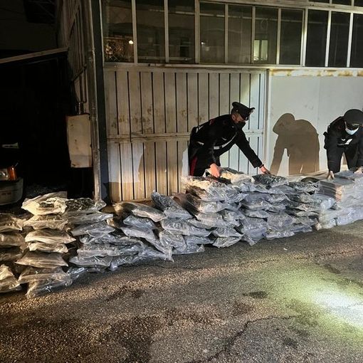 Varese, maxi sequestro di droga: nel rimorchio sotto il trattore spuntano 220 chili di hashish e marijuana. VIDEO