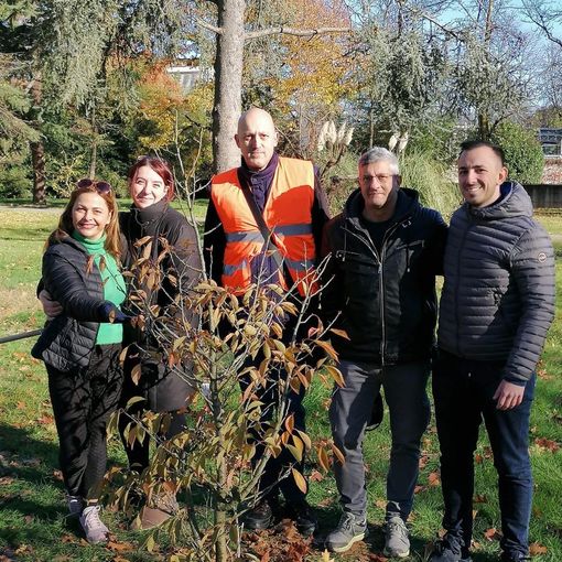Tre nuove piante messe a dimora dall’associazione volontari per l’ambiente