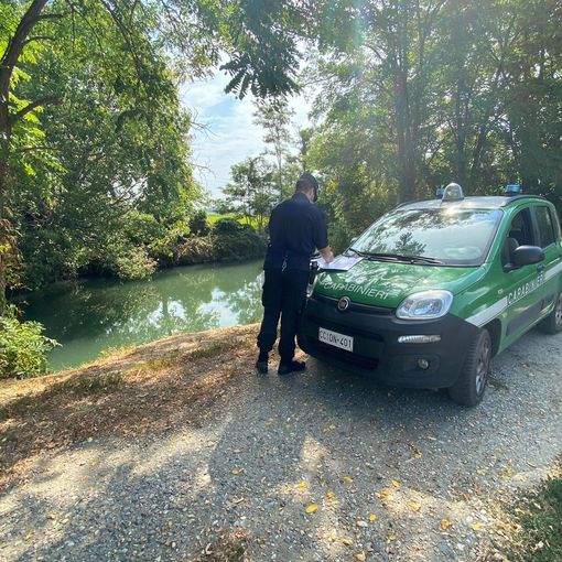 Novara, scarichi chimici nel Terdoppio causano moria pesci. Azienda denunciata