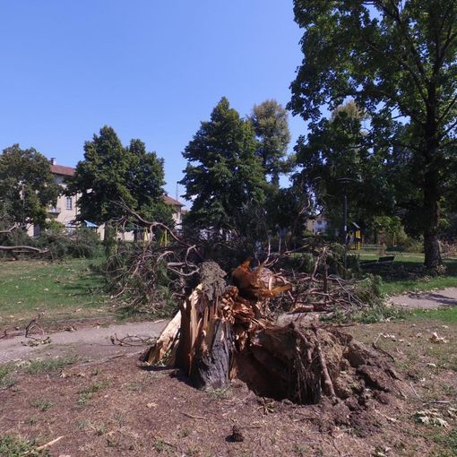 Riapre il parco Cicogna a Trecate