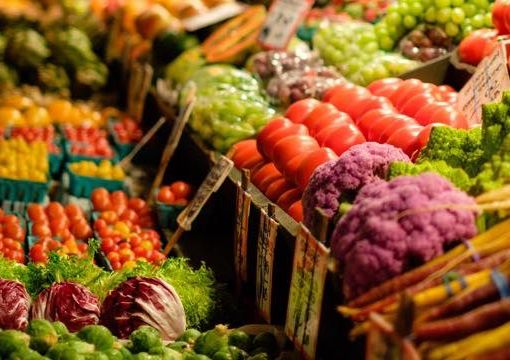 UPO promuove l’appello per inserire l’educazione alimentare come insegnamento obbligatorio nelle scuole di ogni ordine e grado