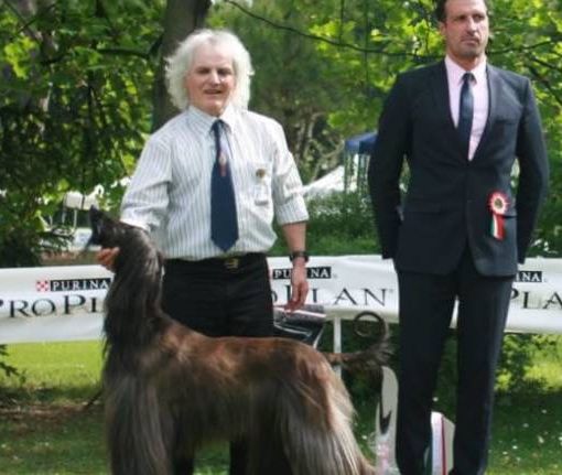 Recuperato dai sommozzatori il corpo di Enrico Faraglia