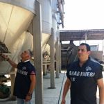 Piume di volatili, escrementi di roditori ed una carcassa di topo morto. I Nas sequestrano 110 tonnellate di risone