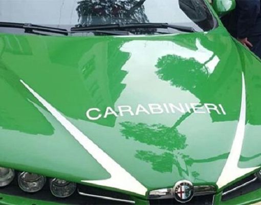 Autorizzazioni illegittime a impianto rifiuti: Carabinieri in uffici della Provincia di Novara