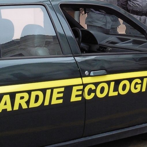 Bilancio positivo per le guardie ecologiche della Provincia