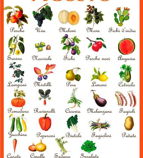 A Trecate torna l'AgriMercato di Campagna Amica