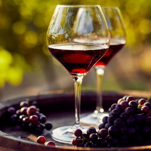 “Just Wine” a Novara, nella serata di giovedì 11 luglio in Piazza delle Erbe
