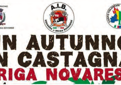 Un autunno in castagna: sabato 19 la cena a Briga Novarese