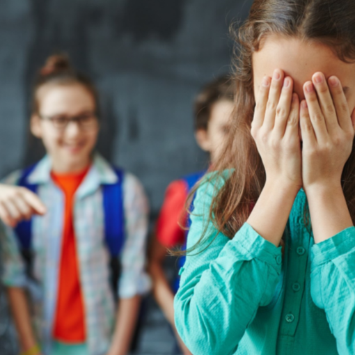 Fondazione Carolina Picchio: troppi esperti di cyberbullismo poco qualificati nelle scuole