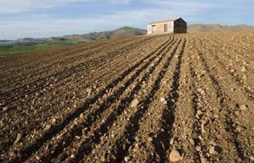 Agricoltura, sabato in piazza gli stagionali piemontesi: &quot;In 45mila esclusi da ogni aiuto&quot;