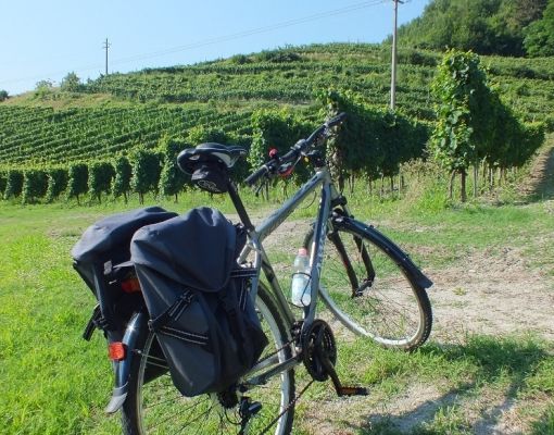 A Tornaco &quot;Pedalar mangiando 2019&quot;
