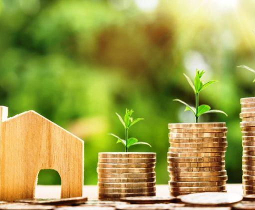 Ecobonus-Articolo 10 Decreto Crescita, la CNA lancia una petizione per chiedere l’abrogazione della norma che penalizza gli artigiani