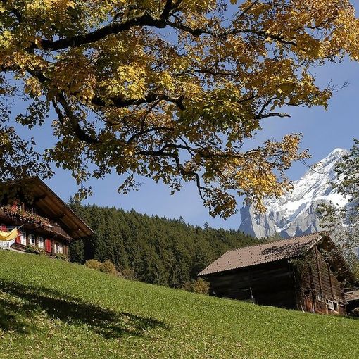 Agosto negli agriturismi, crescita delle presenze del 3%