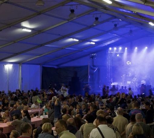 Al via stasera la Festa dell’uva fragola a Suno
