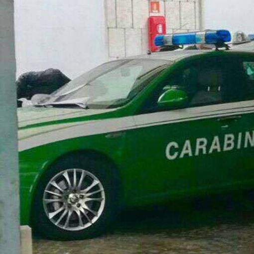 E’ attivo al Comune di Borgomanero lo sportello forestale