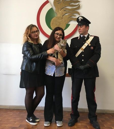 Notizie dal Piemonte. Trova gatto e chiede un riscatto per restituirlo: arrestata