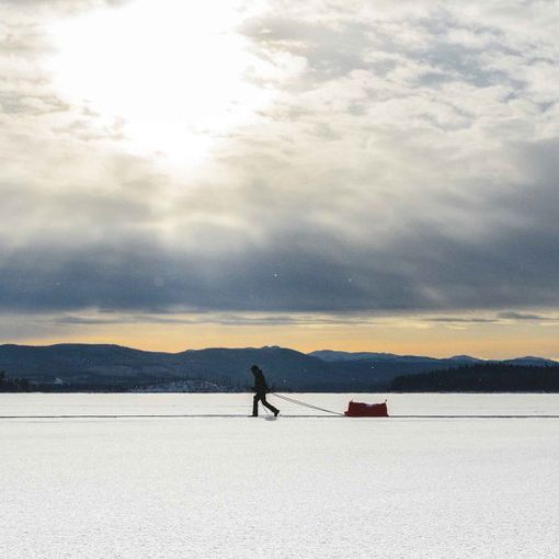 Yukon Arctic Ultra: 700 km a piedi con una slitta