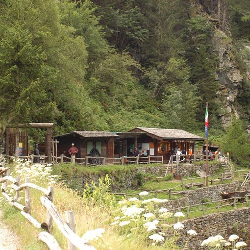 'La via dell'oro', in bici e in cammino da Novara al Monte Rosa: prima edizione dal 15 al 22 settembre
