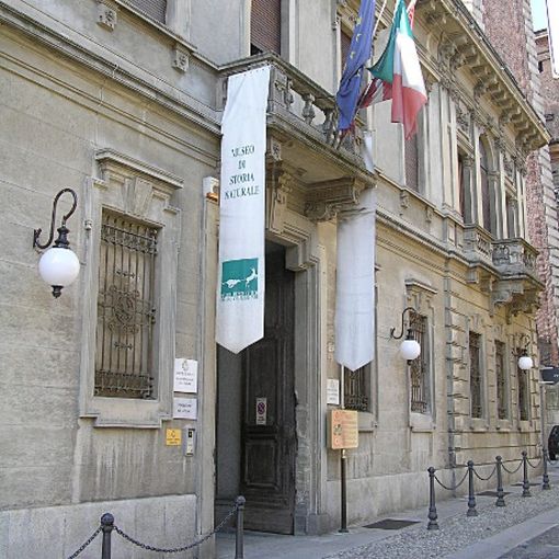 Roads: strade melodiche, strade dissonanti. Cinque appuntamenti al Museo di Storia Naturale Faraggiana Ferrandi