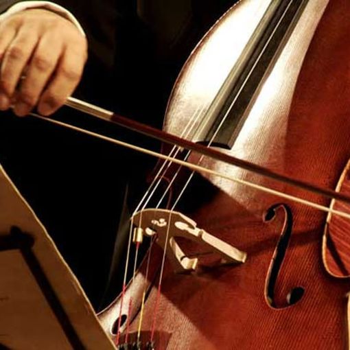 &quot;Liutai in Villa 2024&quot;: un weekend di magia musicale ad Armeno