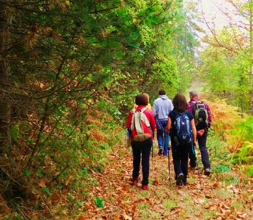 Il Piemonte vince il Premio Go Slow per la sua rete di itinerari escursionistici
