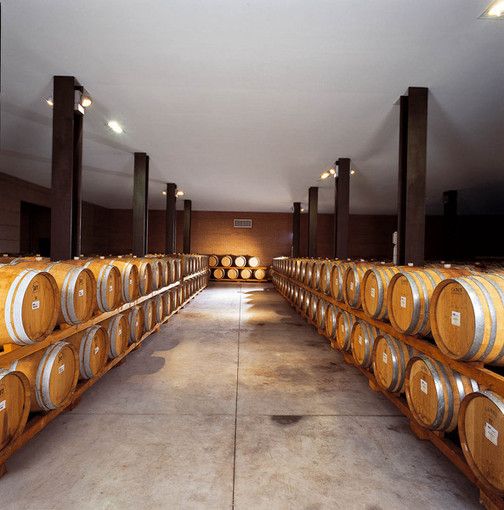Consumi sotto tono per il vino piemontese