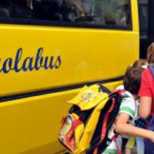 Nuovi scuolabus per Borgo Ticino e Cureggio