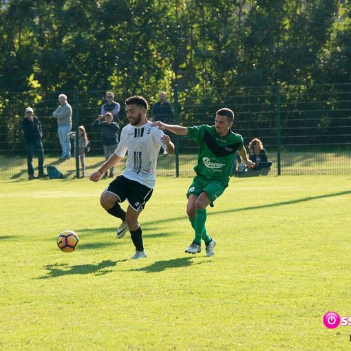 Bilancio positivo per le novaresi di Promozione: due vittorie, tre pareggi e una sola sconfitta.