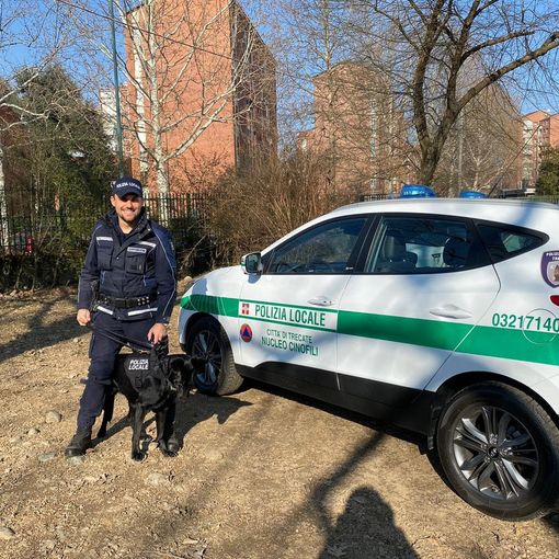 Polizia Locale: al via la formazione della seconda unità cinofila di Trecate