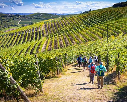 Enoturismo: conoscere i trend per progettare un’offerta di valore. Appuntamento mercoledì 19 febbraio in Camera di Commercio