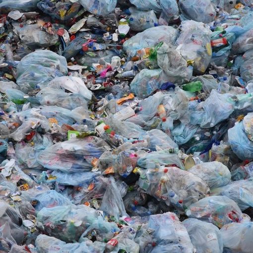 Legambiente: “Chi si candida alla guida del Piemonte faccia della lotta ai cambiamenti climatici una priorità assoluta”