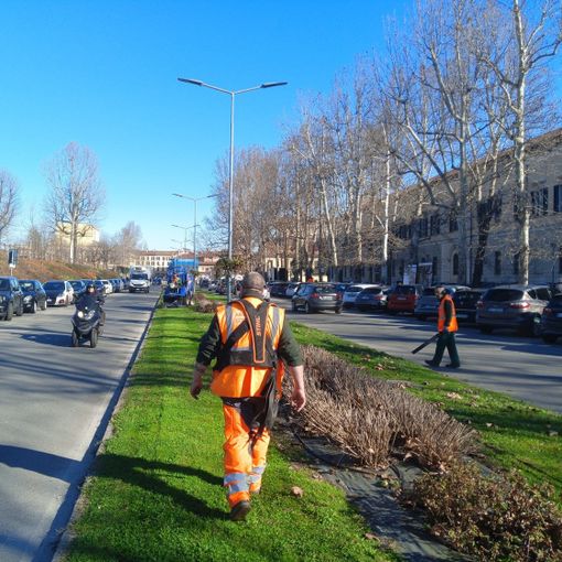 Interventi di manutenzione e taglio del verde pubblico